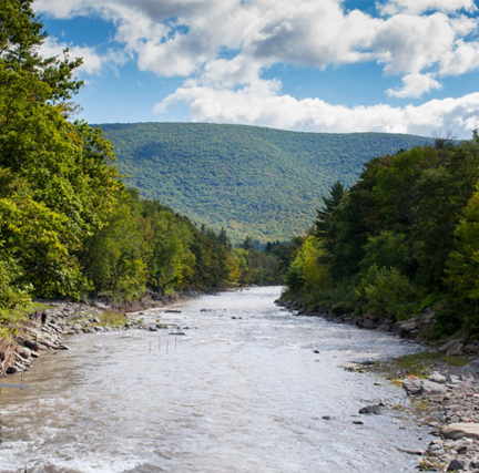 The Esopus Creek